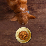 Maxbell Pet Dog Slow Feeder Bowl Non Slip Food Storage Container Dogs Kitty yellow