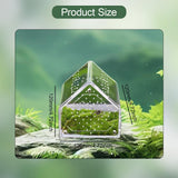 Maxbell Jumping Spiders Enclosure Acrylic Tarantula Enclosure for Gecko Snail 12cmx12cmx12cm