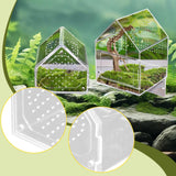 Maxbell Jumping Spiders Enclosure Acrylic Tarantula Enclosure for Gecko Snail 12cmx12cmx12cm