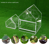 Maxbell Jumping Spiders Enclosure Acrylic Tarantula Enclosure for Gecko Snail 12cmx12cmx12cm
