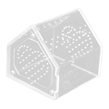 Maxbell Jumping Spiders Enclosure Acrylic Tarantula Enclosure for Gecko Snail 12cmx12cmx12cm