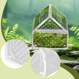 Maxbell Jumping Spiders Enclosure Acrylic Tarantula Enclosure for Gecko Snail 12cmx12cmx12cm