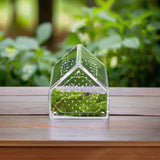 Maxbell Jumping Spiders Enclosure Acrylic Tarantula Enclosure for Gecko Snail 12cmx12cmx12cm