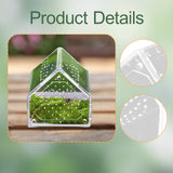 Maxbell Jumping Spiders Enclosure Acrylic Tarantula Enclosure for Gecko Snail 12cmx12cmx12cm