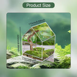 Maxbell Jumping Spiders Enclosure Acrylic Tarantula Enclosure for Gecko Snail 17cmx17cmx22cm
