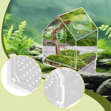 Maxbell Jumping Spiders Enclosure Acrylic Tarantula Enclosure for Gecko Snail 17cmx17cmx22cm