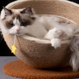 Maxbell Cat Scratcher Bed Lounge Couch with Toy for Small Medium Large Cats Sleeping