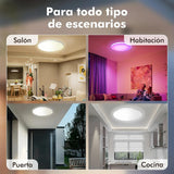 Maxbell Smart Ceiling Light Flush Mount Lighting Fixture for Bedroom Kitchen Ceiling