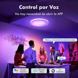 Maxbell Smart Ceiling Light Flush Mount Lighting Fixture for Bedroom Kitchen Ceiling