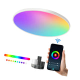 Maxbell Smart Ceiling Light Flush Mount Lighting Fixture for Bedroom Kitchen Ceiling