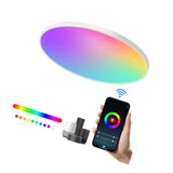 Maxbell Smart Ceiling Light Flush Mount Lighting Fixture for Bedroom Kitchen Ceiling