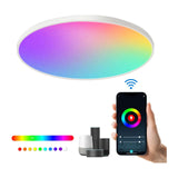 Maxbell Smart Ceiling Light Flush Mount Lighting Fixture for Bedroom Kitchen Ceiling