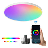 Maxbell Smart Ceiling Light Flush Mount Lighting Fixture for Bedroom Kitchen Ceiling