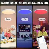 Maxbell Smart Ceiling Light Flush Mount Lighting Fixture for Bedroom Kitchen Ceiling