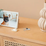 Maxbell Cremation Pet Urn Keychain Pet Dog Paw Print Keepsake Urn Key Chain Cylinder Silver