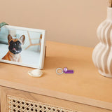 Maxbell Cremation Pet Urn Keychain Pet Dog Paw Print Keepsake Urn Key Chain Cylinder Purple