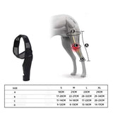 Maxbell Dog Hind Leg Support Brace Flexible Accessory Comfort Fit Daily Activity Aid Size S