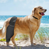 Maxbell Dog Hind Leg Support Brace Flexible Accessory Comfort Fit Daily Activity Aid Size M