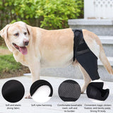 Maxbell Dog Hind Leg Support Brace Flexible Accessory Comfort Fit Daily Activity Aid Size L