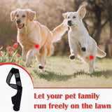 Maxbell Dog Hind Leg Support Brace Flexible Accessory Comfort Fit Daily Activity Aid Size L