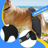Maxbell Dog Hind Leg Support Brace Flexible Accessory Comfort Fit Daily Activity Aid Size XL
