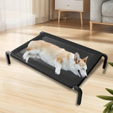 Maxbell Elevated Bed for Dogs Mesh Simple Raised Pet Bed for Cat Outdoor Living Room L
