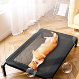 Maxbell Elevated Bed for Dogs Mesh Simple Raised Pet Bed for Cat Outdoor Living Room L