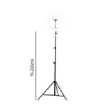 Maxbell 10inch Selfie Ring Light with Phone Holder for Camera Makeup Video Recording