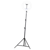 Maxbell 10inch Selfie Ring Light with Phone Holder for Camera Makeup Video Recording