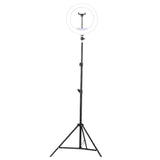 Maxbell 10inch Selfie Ring Light with Phone Holder for Camera Makeup Video Recording