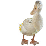 Maxbell Pet Duck Diaper Clothes Fashionable with Elastic Band Chicken Diaper