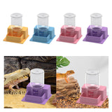 Maxbell Reptile Feeder Sturdy Reptile Waterer for Amphibians Bearded Dragon Tortoise Yellow