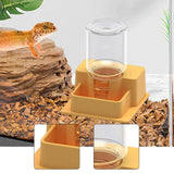 Maxbell Reptile Feeder Sturdy Reptile Waterer for Amphibians Bearded Dragon Tortoise Yellow