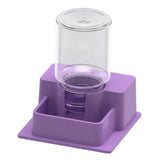 Maxbell Reptile Feeder Sturdy Reptile Waterer for Amphibians Bearded Dragon Tortoise Purple