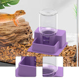 Maxbell Reptile Feeder Sturdy Reptile Waterer for Amphibians Bearded Dragon Tortoise Purple
