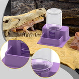 Maxbell Reptile Feeder Sturdy Reptile Waterer for Amphibians Bearded Dragon Tortoise Purple