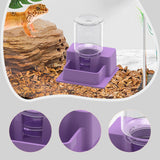 Maxbell Reptile Feeder Sturdy Reptile Waterer for Amphibians Bearded Dragon Tortoise Purple