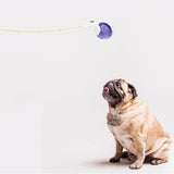 Maxbell Dog Ball Launcher Ergonomic Handle Interactive Sport Manual Non Slip Chucker white