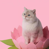 Maxbell Lotus Shaped Cat Bed Home Decor Soft Bite Resistant for Indoor Cats Cat Nest