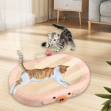 Maxbell Cat Scratcher Board Sofa Pet Supplies Kitten with Play Ball Cat Lounge Chair