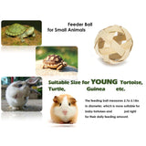 Maxbell Pet Mini Skateboard Tortoise Foraging Ball for Cockatiel Chameleons Reptiles
