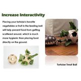 Maxbell Pet Mini Skateboard Tortoise Foraging Ball for Cockatiel Chameleons Reptiles