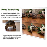 Maxbell Pet Mini Skateboard Tortoise Foraging Ball for Cockatiel Chameleons Reptiles