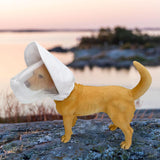 Maxbell Field Guard for Dogs Mesh Keep Mosquito Fly Grass Seeds Out Dog Foxtail Mask White M