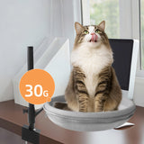 Maxbell Cat Desk Bed Kitten Furniture for Indoor Cats Clamp Mount Cat Hammock Perch Mesh Cloth and Plush