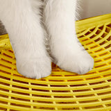 Maxbell Cat Litter Ramp Washable Litter Box Step for Indoor Cats Living Room Kittens Small