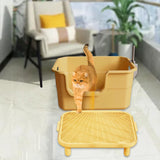 Maxbell Cat Litter Ramp Washable Litter Box Step for Indoor Cats Living Room Kittens Medium