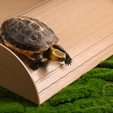 Maxbell Reptile Bathing Pool with Ramp Reptile Food Water Bowl for Frog Turtle Gecko