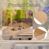 Maxbell Reptile Bathing Pool with Ramp Reptile Food Water Bowl for Frog Turtle Gecko