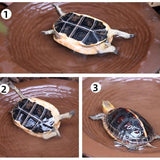 Maxbell Turtle Bathing Pool Tortoise Food Dish for Lizard Gecko Aquatic Climbing Pet
